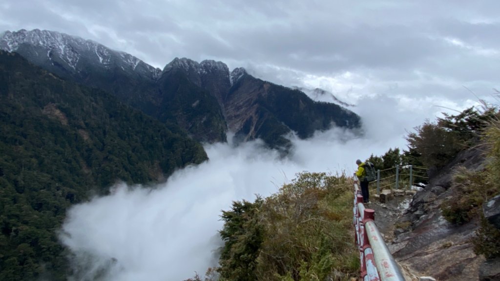 塔塔加-排雲山莊。驚喜滿分的糖霜雪景_1565779