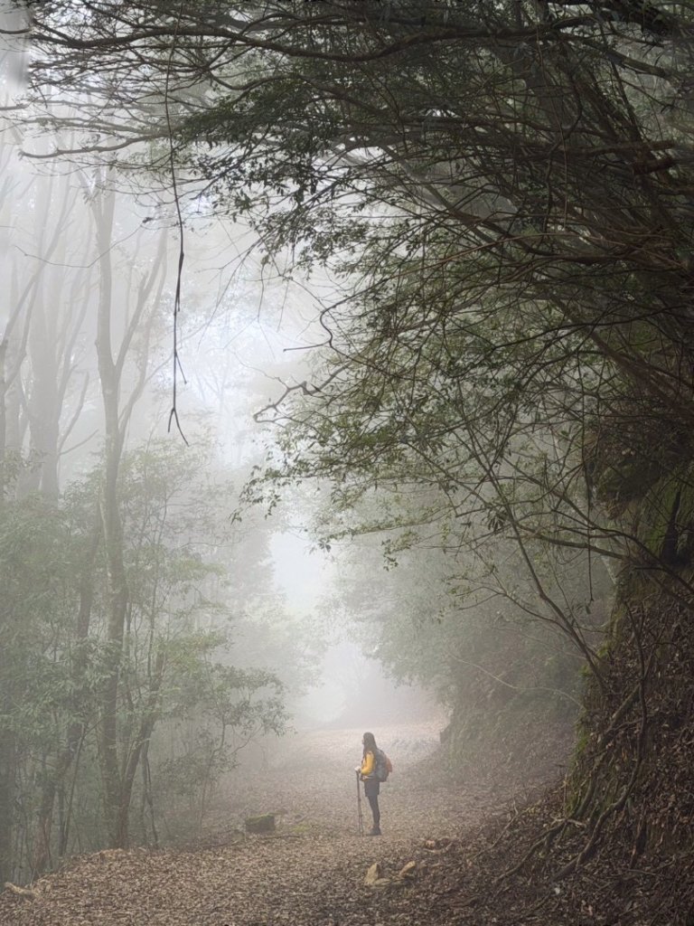 雪霸國家公園 雪見遊憩區 東洗水山_2928591
