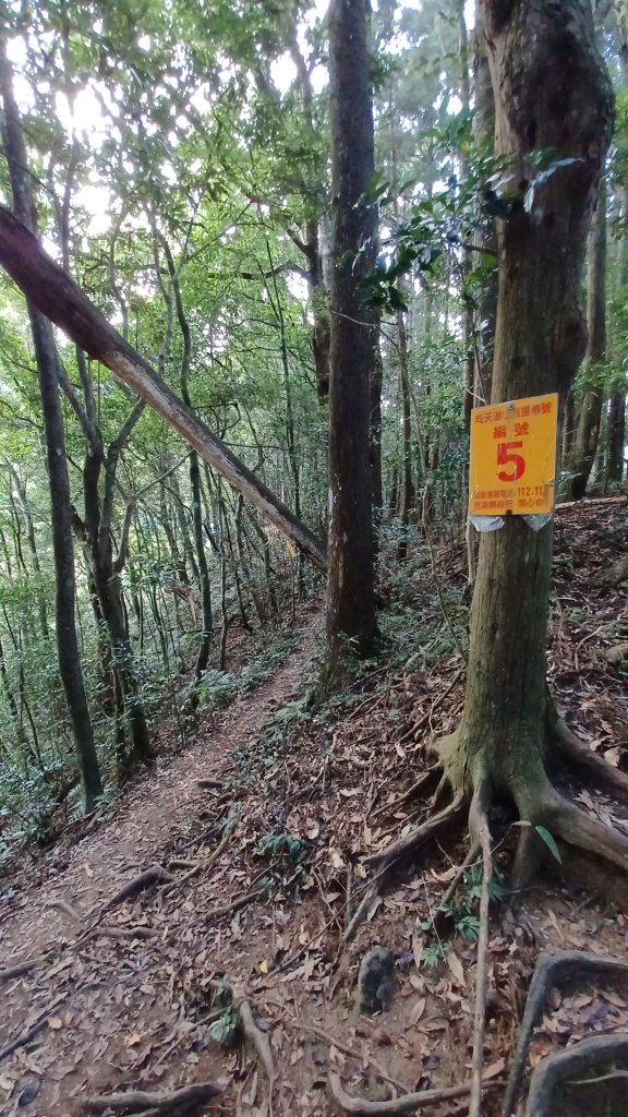 【苗栗南庄】向天湖山光天高山小O繞_2933160