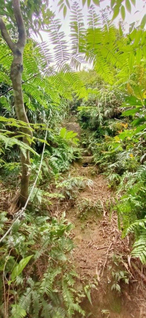 109.04.11七堵瑪陵尖(含東北峰)_914034