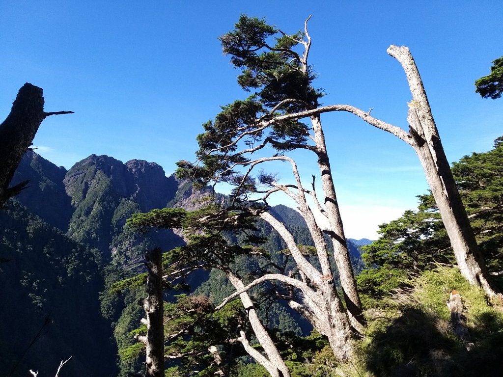 夏季限定高清視野-玉山主峰北峰_1752761