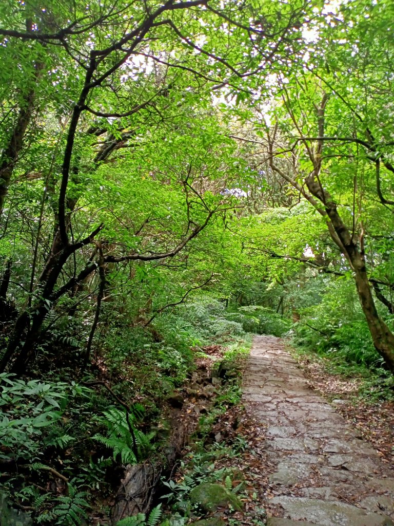 【臺北大縱走 1】(2-1) 二子坪遊客服務站→下青礐步道_1486229
