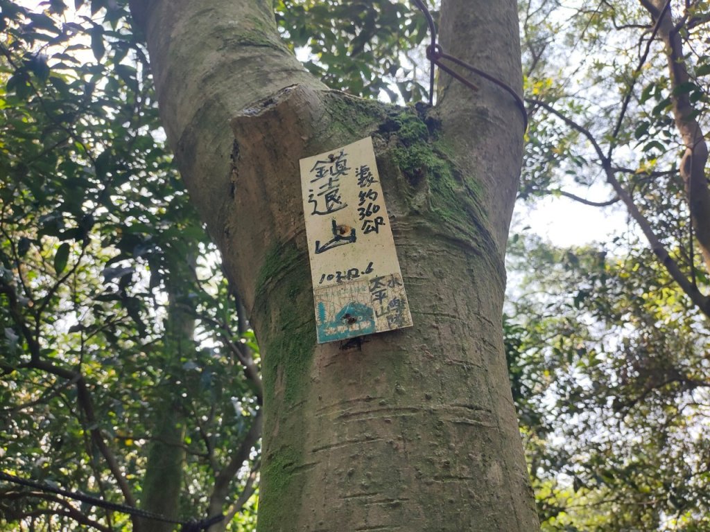 樹鶯縱走（樹林~鶯歌）_2237581