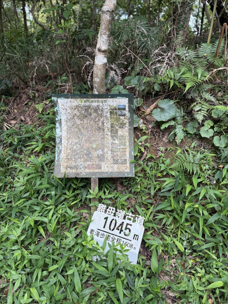 淡蘭北路第二段：燦光寮至澳底_2876419