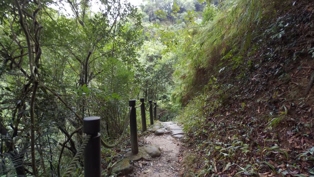 獅山步道_214602