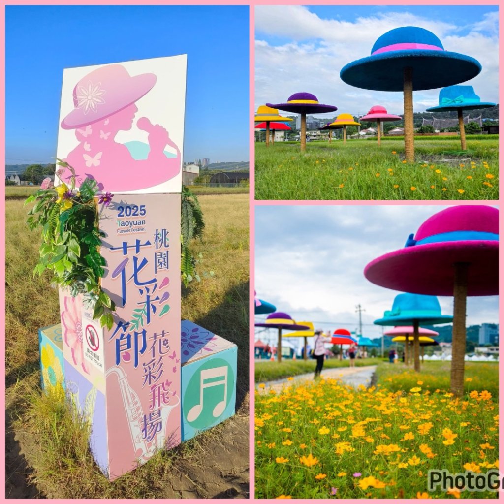 桃園大溪-花彩節🌼李騰芳古厝-月眉落雨松封面圖