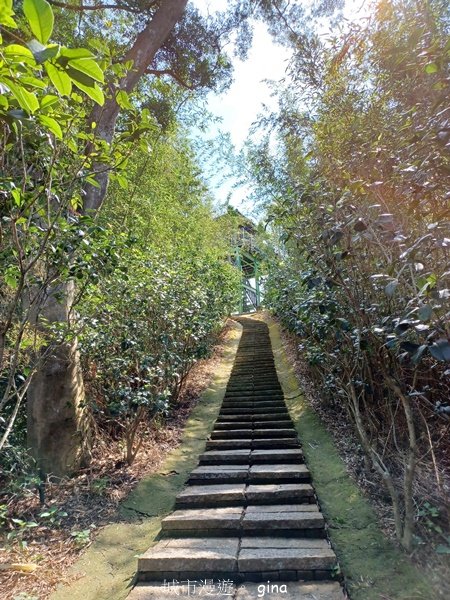 【苗栗造橋】適合親子悠閒踏青。劍潭古道_2533465