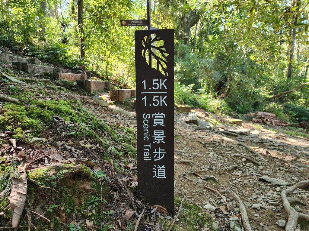 新北烏來｜內洞國家森林遊樂區步道群_2904741
