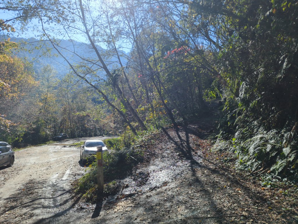 2026.01.03－鎮西堡B區神木群_2981131