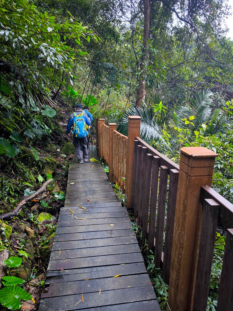 2025-03-08 汶水三山：金童山、汶水山、玉女山 連走_2736500