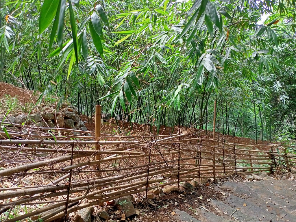 【冷門步道尋寶任務】石階綿長的永春寮、永春寮溪步道_1455931