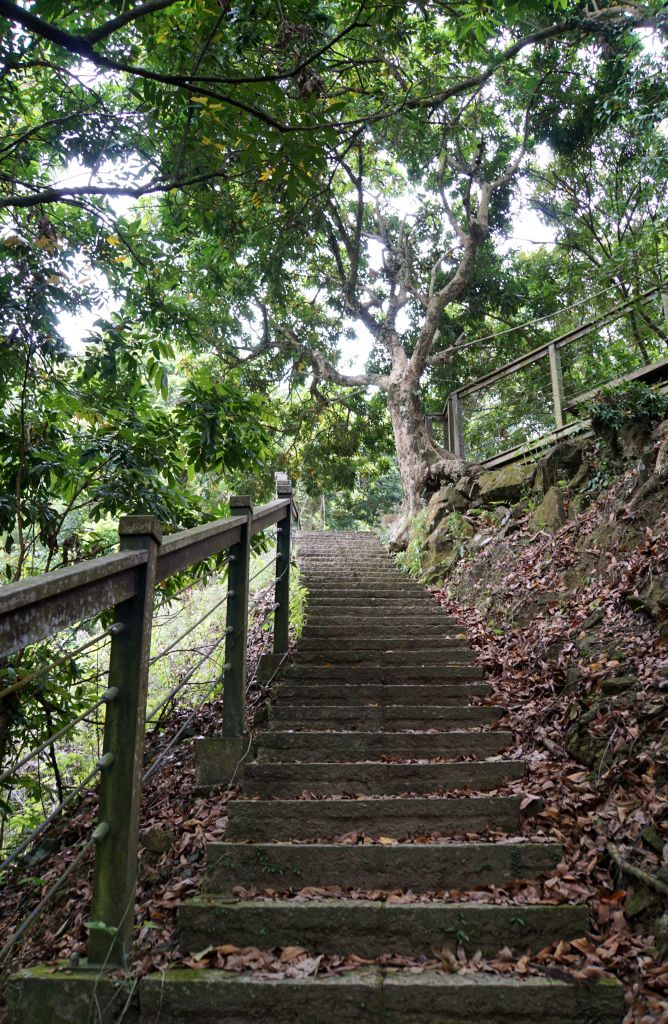 塘湖古道&甕缸潭步道小O輕鬆行_309914