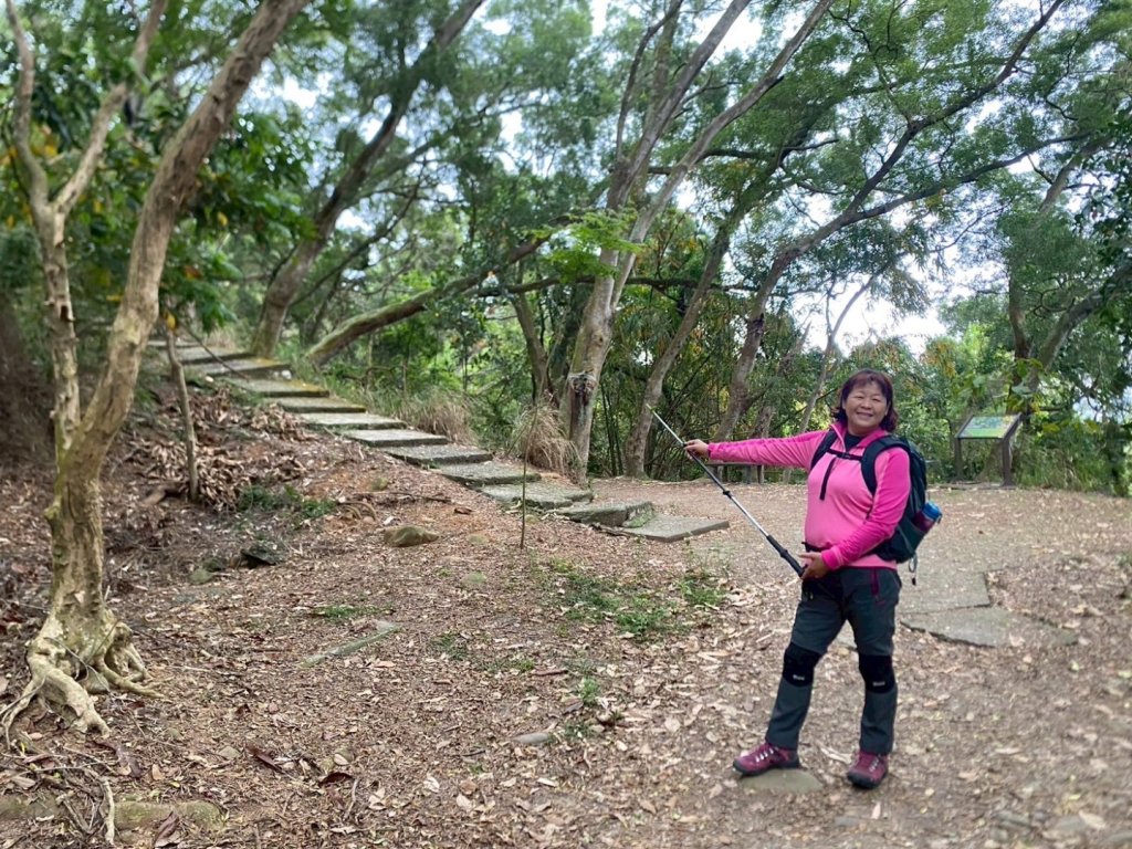 田中森林公園步道、赤水崎公園步道、花牆、龍過脈古蹟_2750921