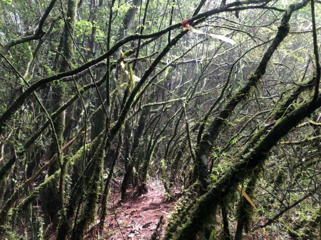 自忠石山引水道縱走_681423