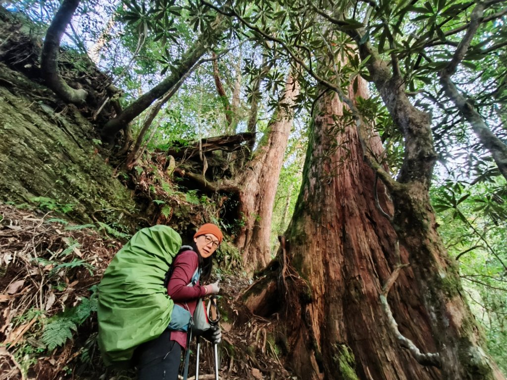 20240323 馬博8天縱走~第八天，中平林道35k到15k搭車_2471814