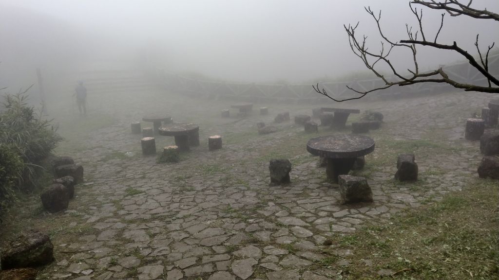 陽明山東西大縱走活動_403042