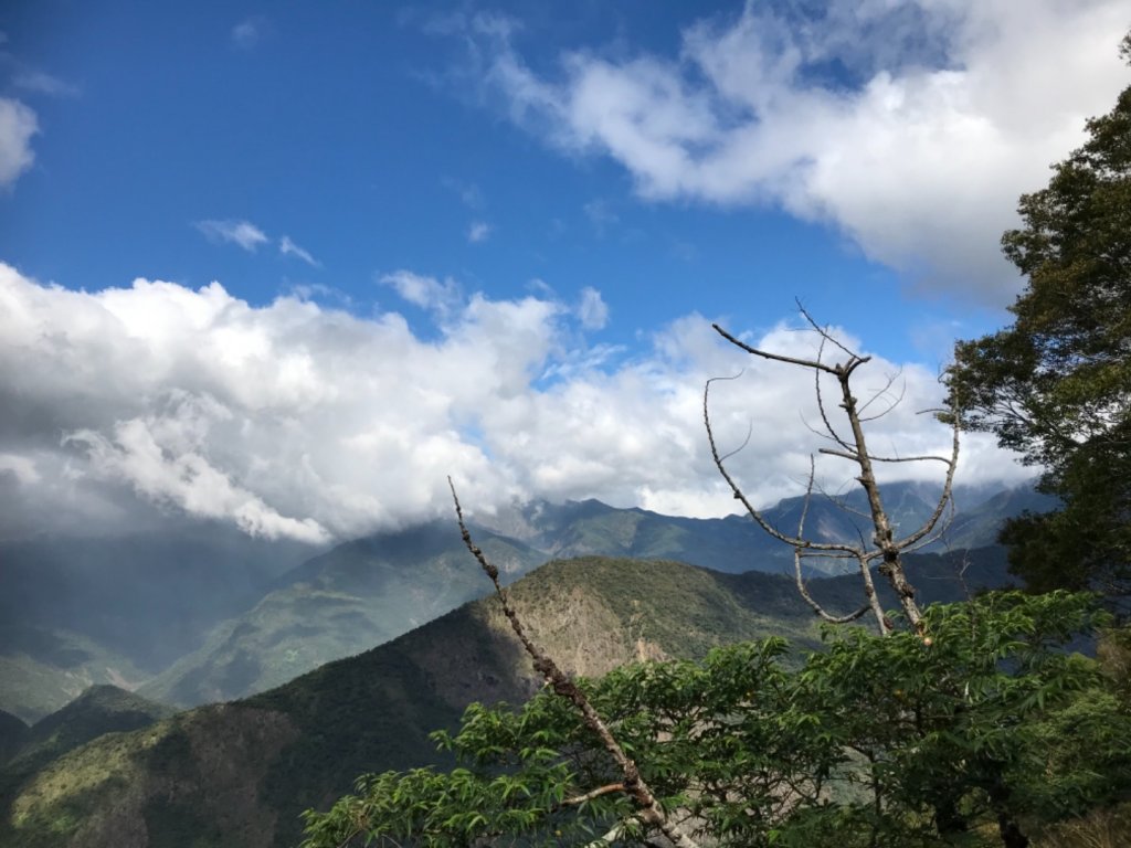 大漢林道_1191575