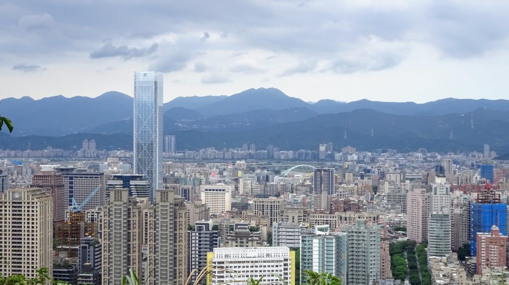 樹梅古道,不二法門_2240088