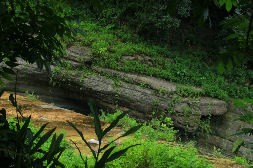 雲林．古坑萬年峽谷2023/07/15_2237793