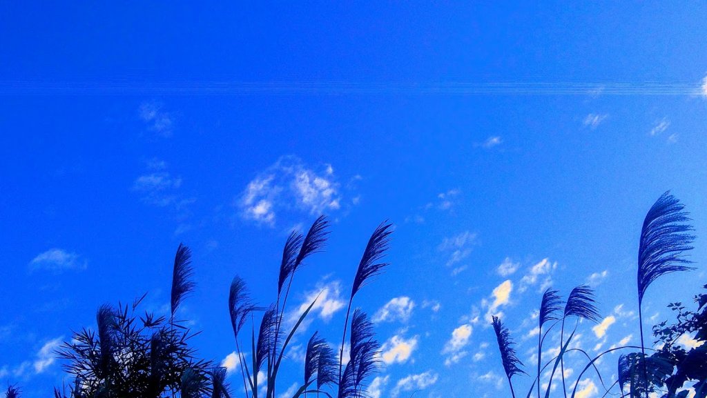 大崎崠步道_749012