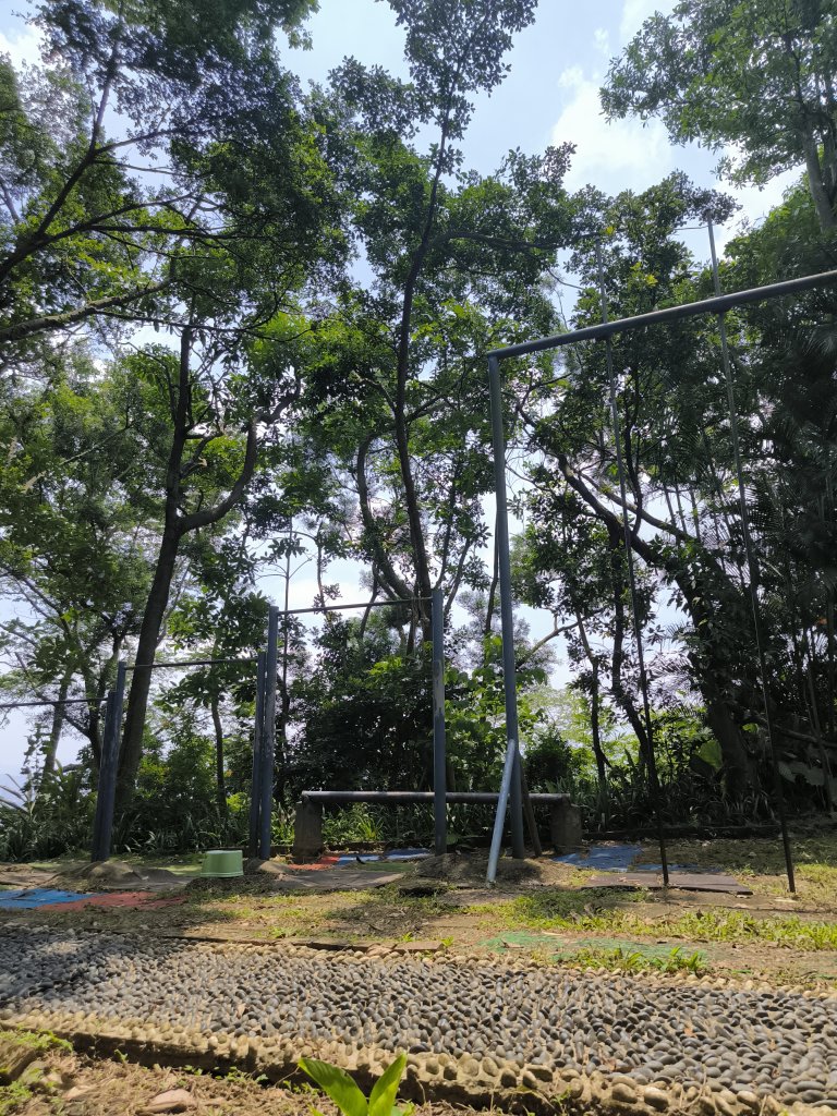 20250809樹迴縱走_2855050