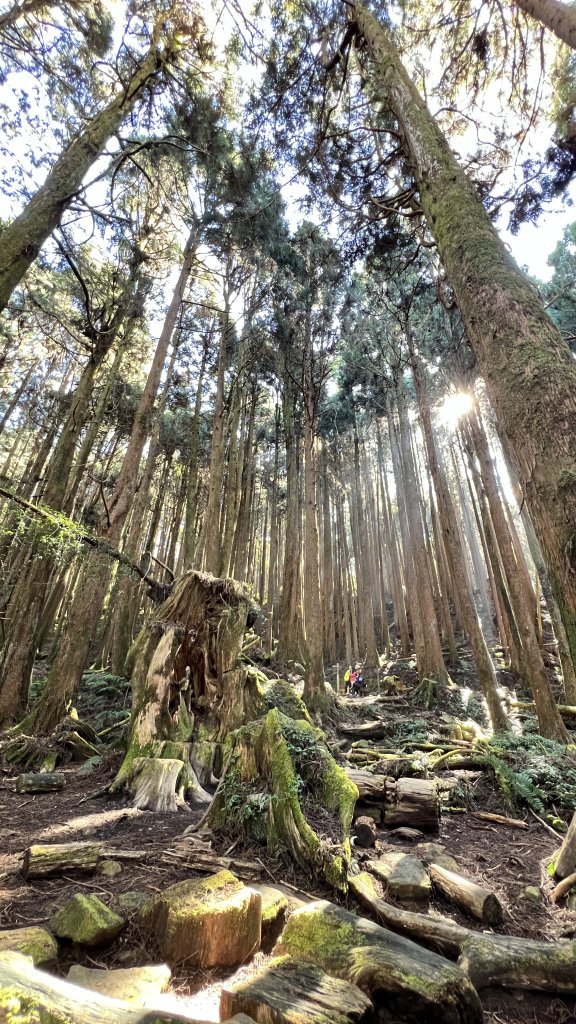 2024.12.29 特富野古道_2720704