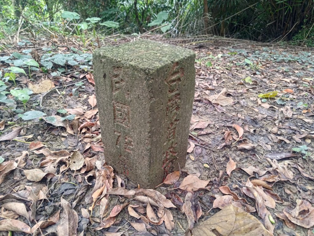 蘭潭後山步道紅毛埤山_2599629