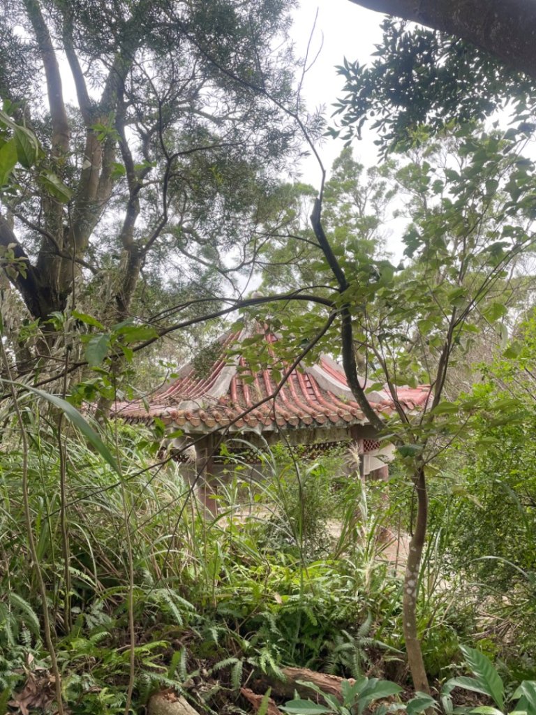 苗栗三義銅鑼三員縱走-三角山-員屯山_2650311