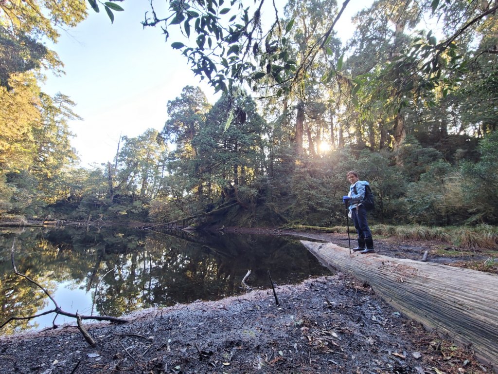 20230219 塔魔巴_2037352