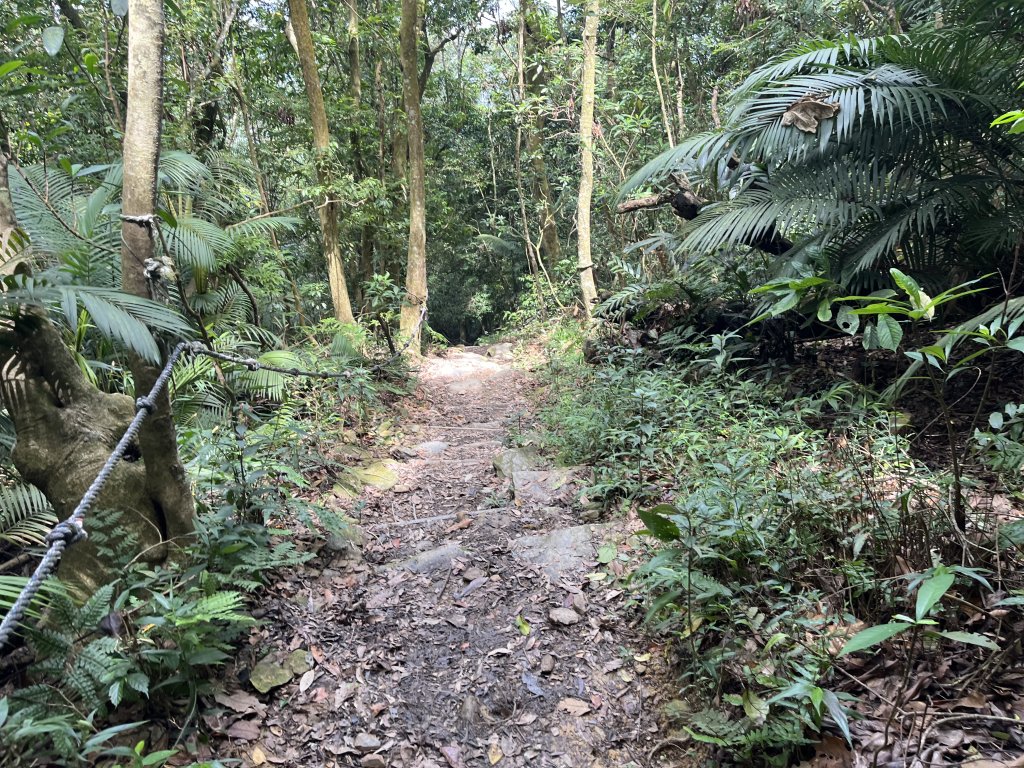 [屏步青雲 尋寶任務-02/10] 2024_0916 尾寮山登山步道_2597370