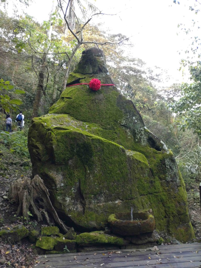 20220311龍麟山攀登_1636488