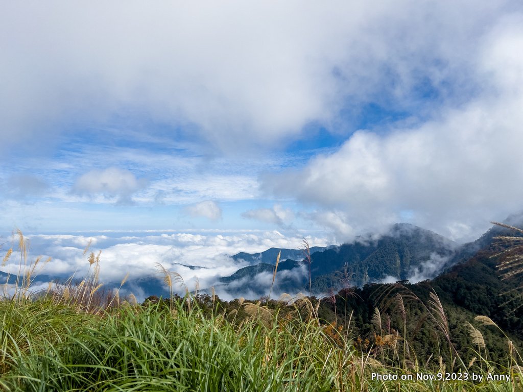 台灣國家山毛櫸步道_2355428