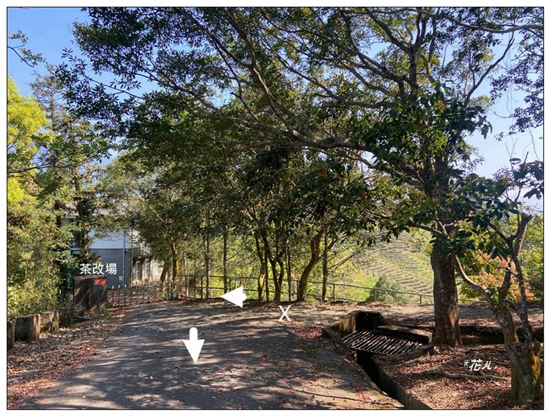 貓囒山 好多基石 (日月潭)_2834895