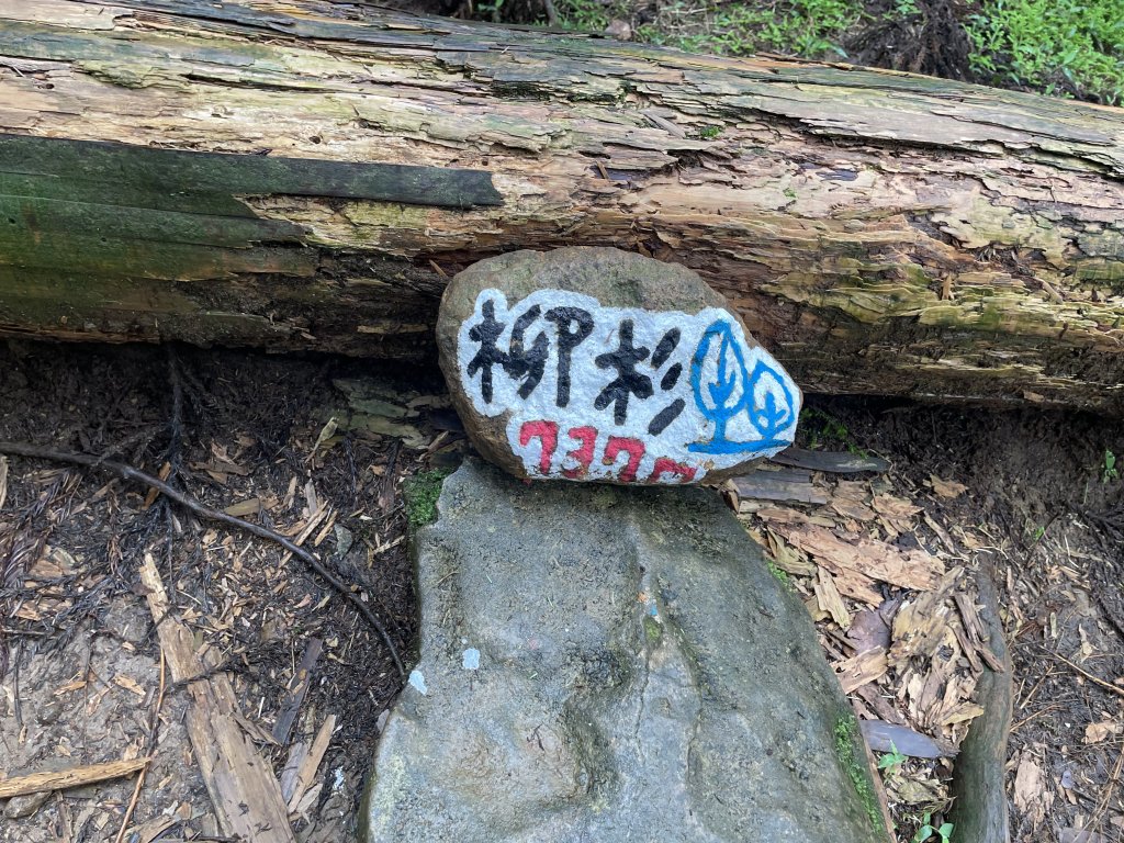 台北大縱走3_2769678