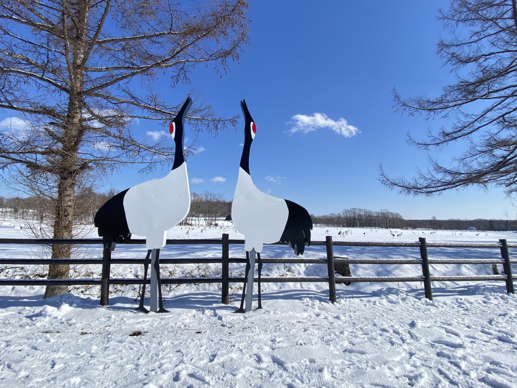 北海道------雪祭_3001914