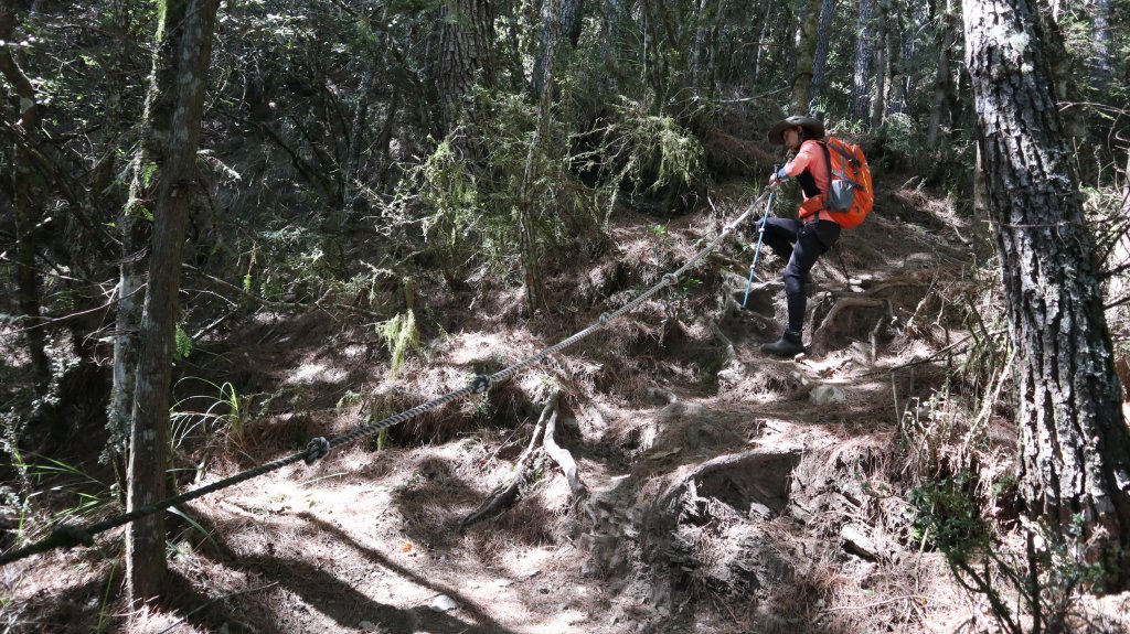 志佳陽大山登山健行趣(百岳47號)_1922587