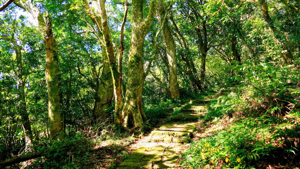 向天蝦不蝦_2936802