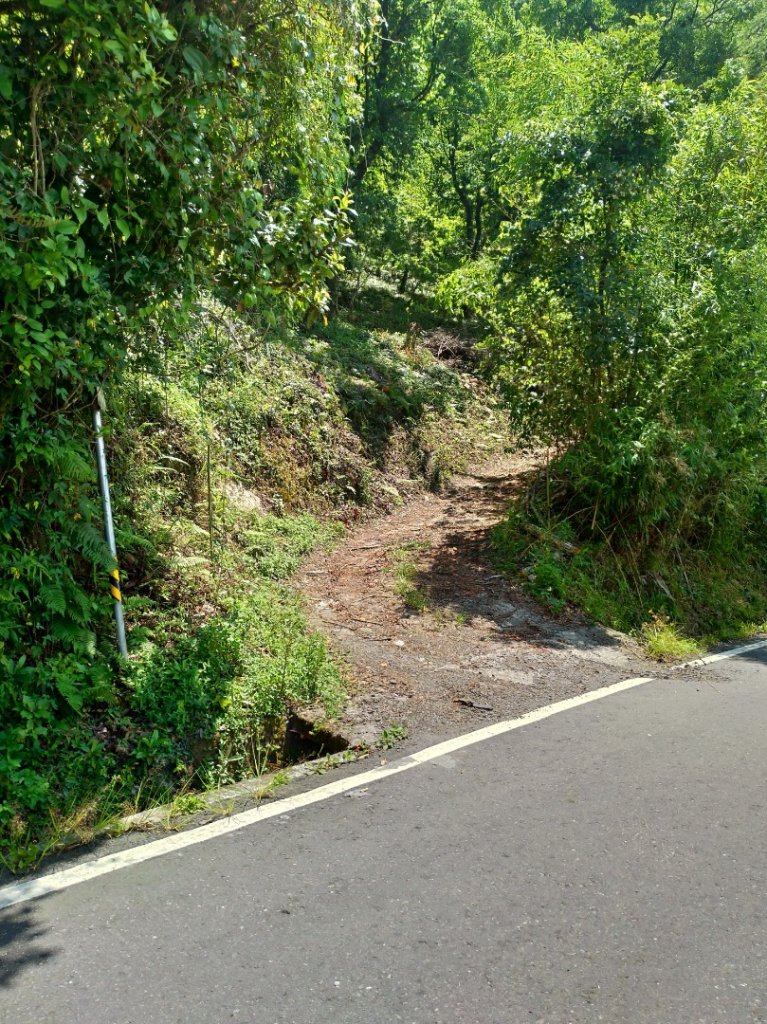 馬馬宇頓山 南橫公路_1056865