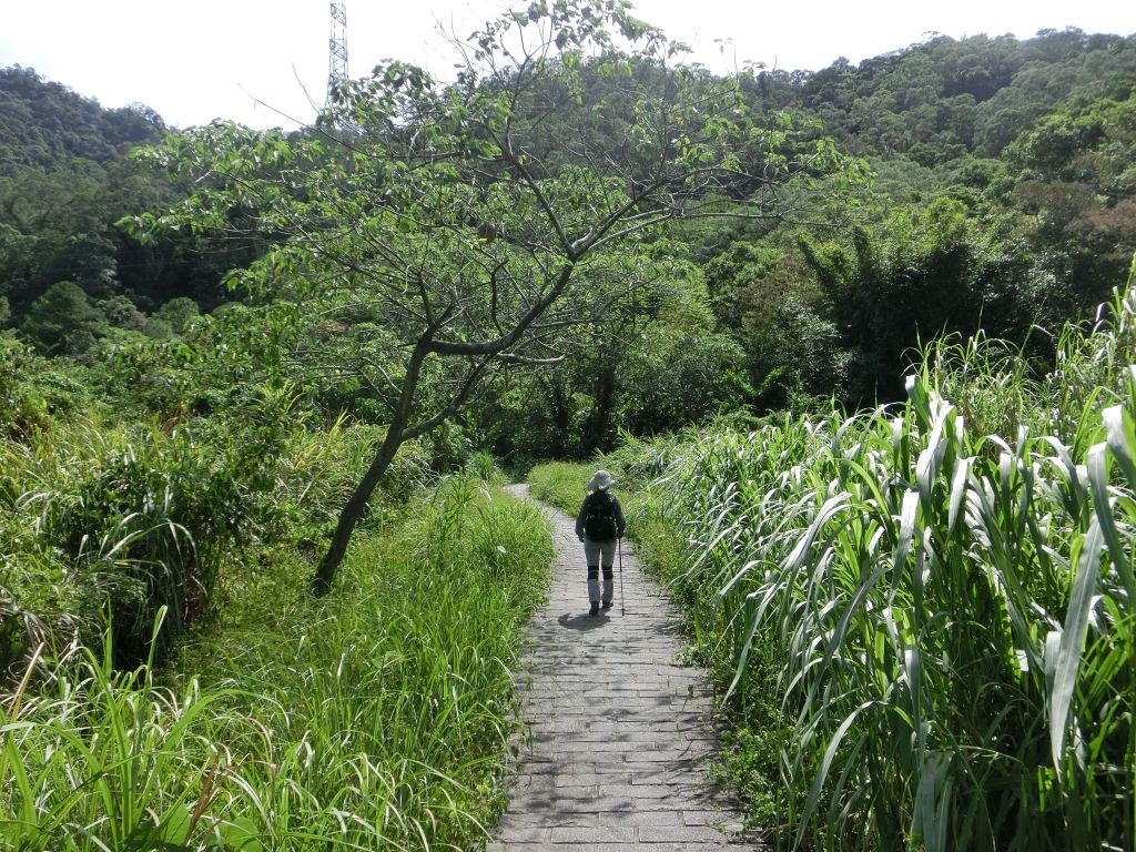 打鐵寮古道_184261