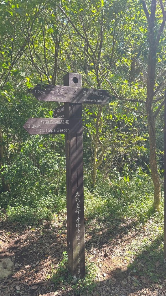 大屯山五連峰含面天山_2934610