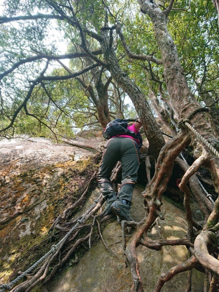 那結山（嘎色鬧部落線）_893441