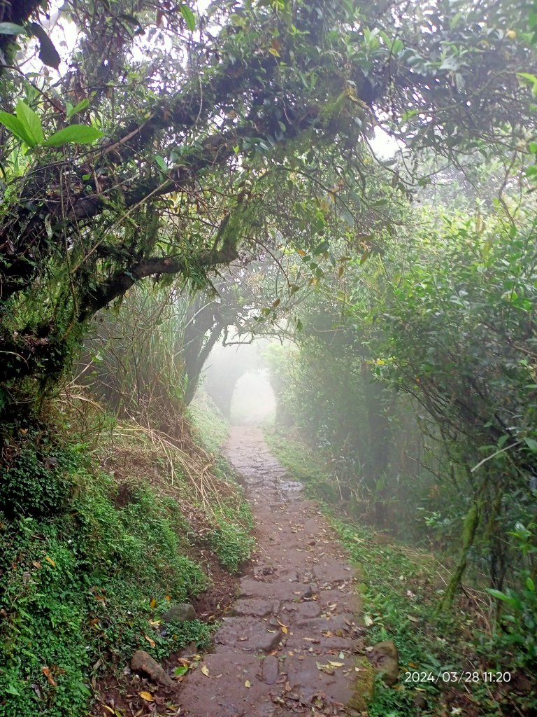 【臺北大縱走 3】擎天崗→石梯嶺→頂山→風櫃嘴_2468786