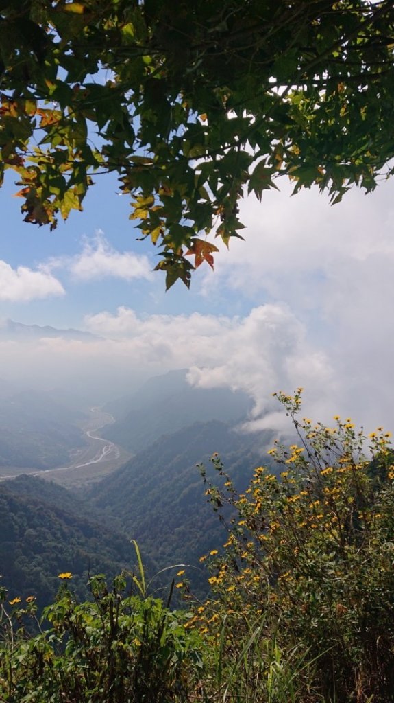 馬那邦山O走_2370144