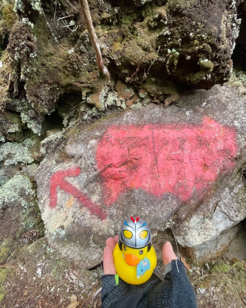 鳶嘴西稜上鳶嘴山-醜崠三崠山連走_2652161