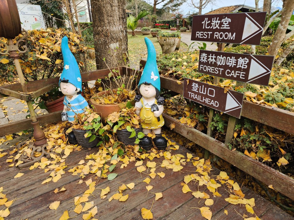 20250105鵝公髻山雲霧步道封面圖