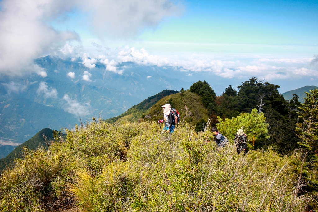 【百岳】郡大山_26758