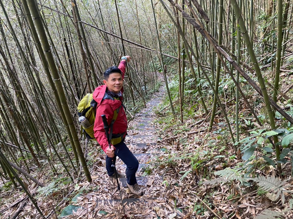 烏嘎彥竹林步道.馬都安古道【因為堅持 所以更顯珍貴】_2064442