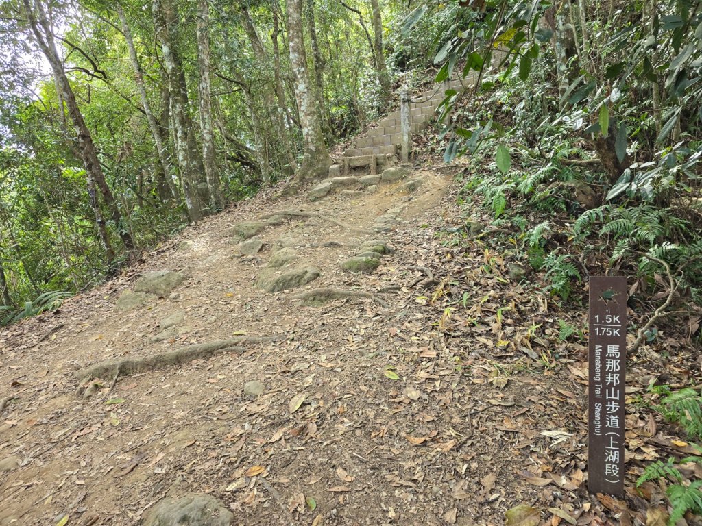馬那邦山之雲海／雲瀑／楓紅／太陽琉璃光_2668260