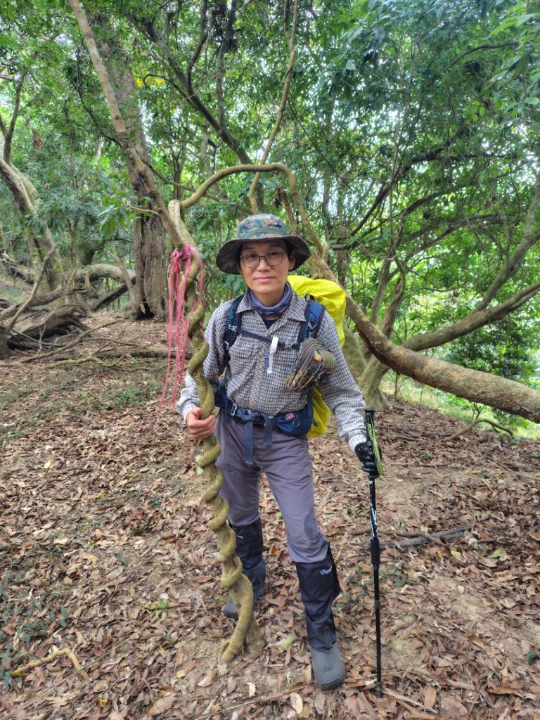 大棟山系南段 水利古道西口 上 竹高崙山 連走 鳥子嶺 坑仔內山 大崖山 下 龍目井農場_2953169