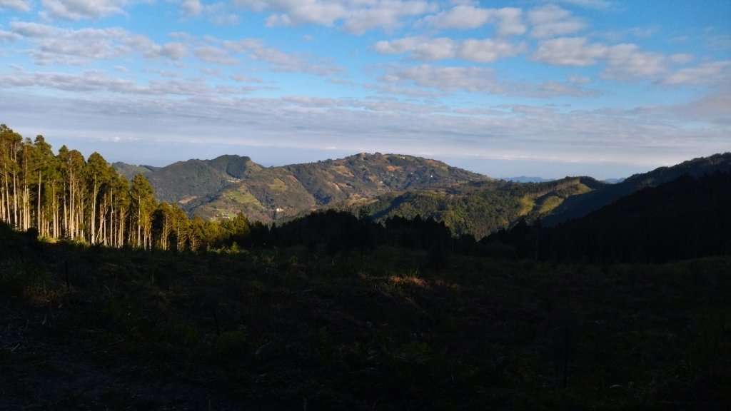 油羅山封面圖